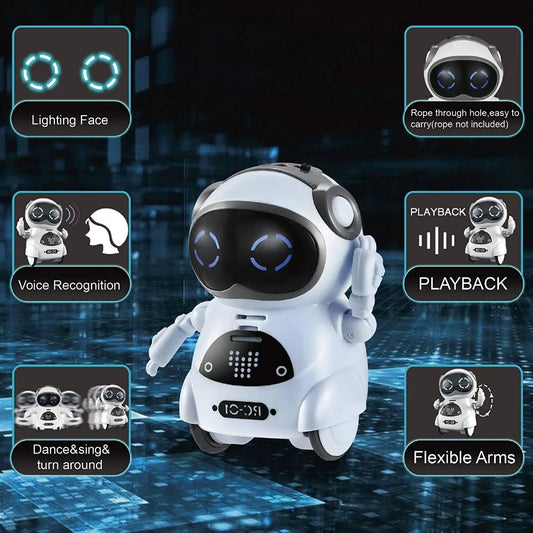 Mini Smart Interactive Talk Robot