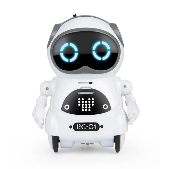 Mini Smart Interactive Talk Robot