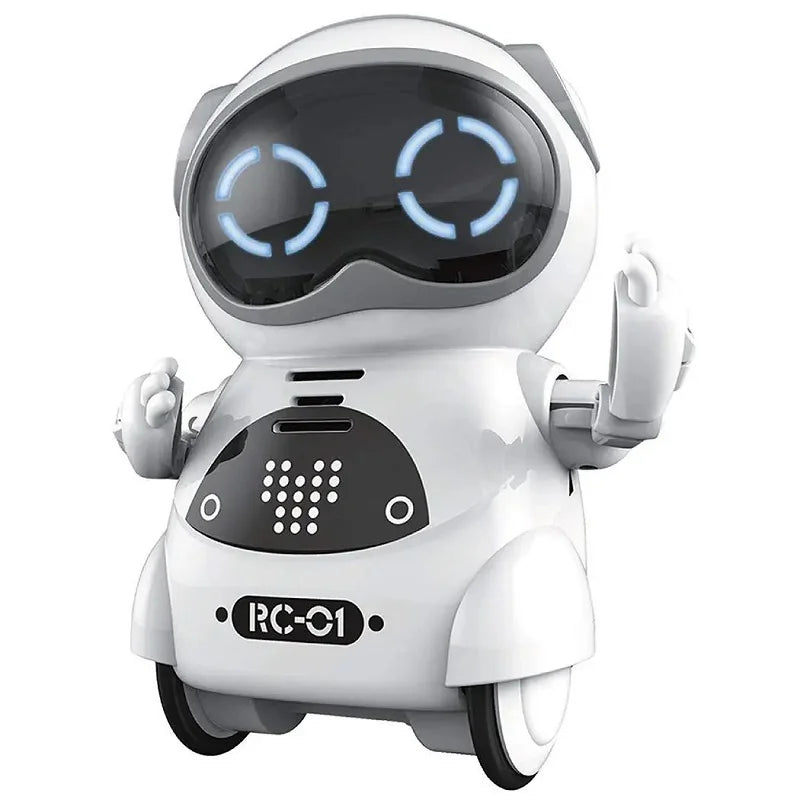 Mini Smart Interactive Talk Robot