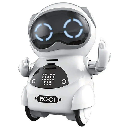 Mini Smart Interactive Talk Robot